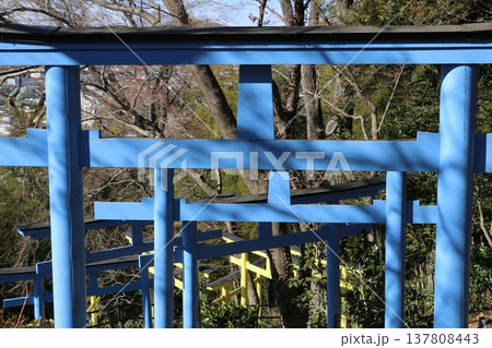 七色の鳥居が迎える足利織姫神社 七色の鳥居が迎える足利織姫神社 137808443