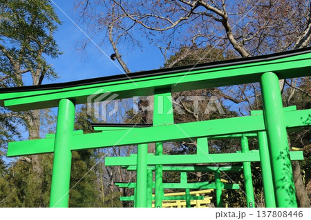 七色の鳥居が迎える足利織姫神社 137808446