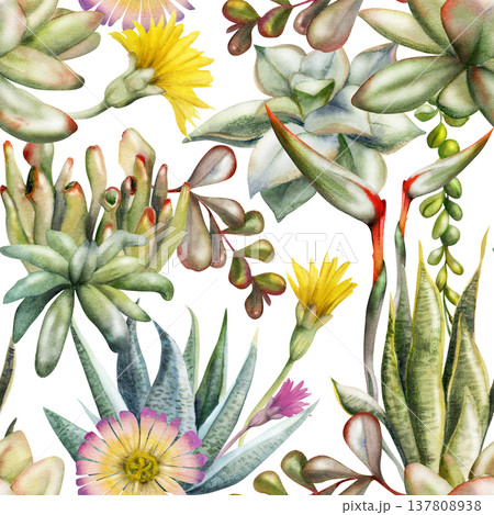 Sedum, sansevieria rosette succulents, strelitzia, cactus flowers, kalanchoe branches. Isolated illustration hand drawn in watercolor. Seamless botanical pattern for digital planners, habit trackers Sedum, sansevieria rosette succulents, strelitzia, cactus flowers, kalanchoe branches. Isolated illustration hand drawn in watercolor. Seamless botanical pattern for digital planners, habit trackers 137808938