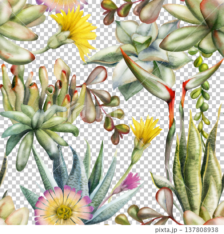Sedum, sansevieria rosette succulents, strelitzia, cactus flowers, kalanchoe branches. Isolated illustration hand drawn in watercolor. Seamless botanical pattern for digital planners, habit trackers Sedum, sansevieria rosette succulents, strelitzia, cactus flowers, kalanchoe branches. Isolated illustration hand drawn in watercolor. Seamless botanical pattern for digital planners, habit trackers 137808938