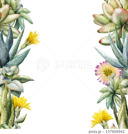 Succulent rosettes with plump leaves, daisy flowers hand painted in watercolor. Isolated seamless banner for interior design presentations, green business branding, sustainable product advertising. 137808942