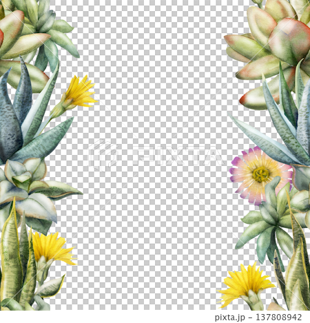 Succulent rosettes with plump leaves, daisy flowers hand painted in watercolor. Isolated seamless banner for interior design presentations, green business branding, sustainable product advertising. 137808942