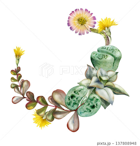 Flowering living stones, lithops succulent, kalanchoe fleshy leaves, echeveria rosette wreath. Isolated botanical frame hand drawn in watercolor. Printable wall art, nursery decor, plant shop signage. Flowering living stones, lithops succulent, kalanchoe fleshy leaves, echeveria rosette wreath. Isolated botanical frame hand drawn in watercolor. Printable wall art, nursery decor, plant shop signage. 137808948