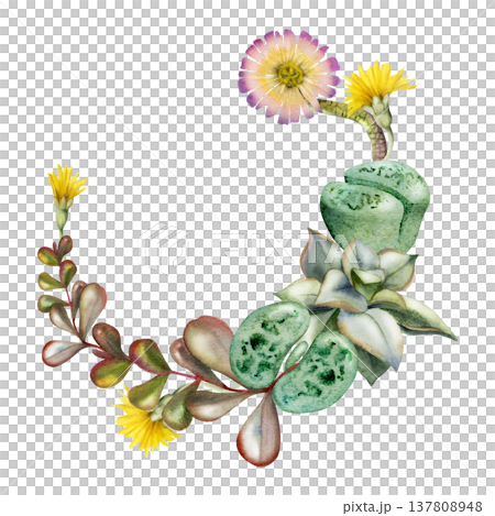 Flowering living stones, lithops succulent, kalanchoe fleshy leaves, echeveria rosette wreath. Isolated botanical frame hand drawn in watercolor. Printable wall art, nursery decor, plant shop signage. 137808948