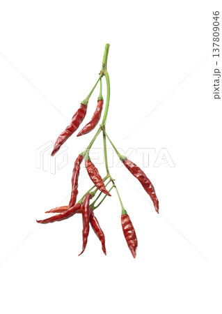 枝付き唐辛子 137809046