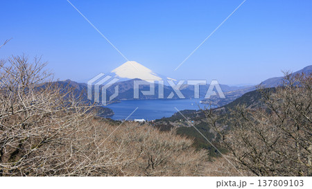 箱根大観山から見た富士山と芦ノ湖 137809103