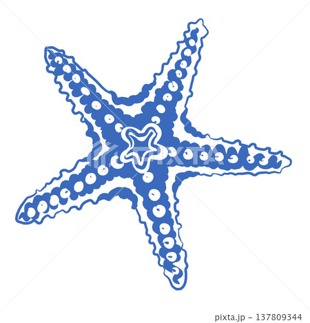 Starfish Illustration. Paper cut design. 137809344