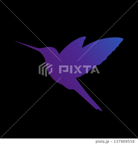 Hummingbird silhouette. Purple colibri bird silhouette decorated with wavy pattern. Vector illustration Hummingbird silhouette. Purple colibri bird silhouette decorated with wavy pattern. Vector illustration 137809558