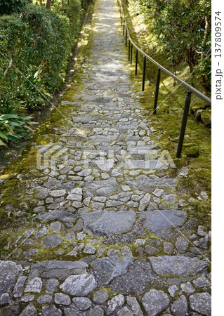 石畳の階段 137809574