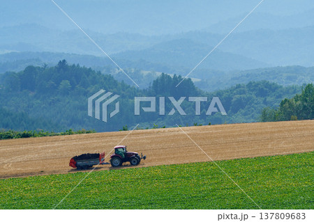 北海道美瑛富良野の丘を走るトラクターと畑の農業風景 137809683