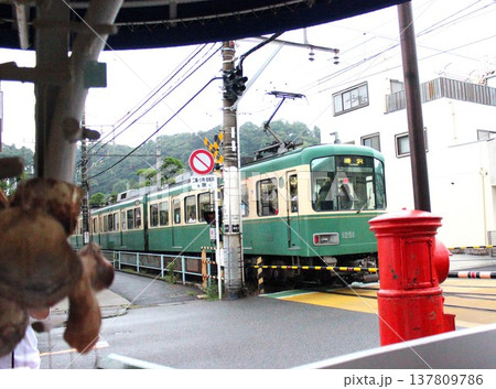 住宅街を走る江ノ電 住宅街を走る江ノ電 137809786