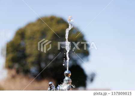 公園の水飲み場 公園の水飲み場 137809815
