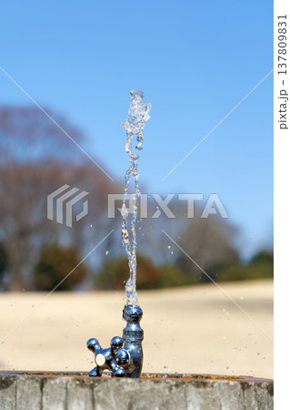 公園の水飲み場 公園の水飲み場 137809831