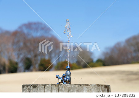 公園の水飲み場 公園の水飲み場 137809832
