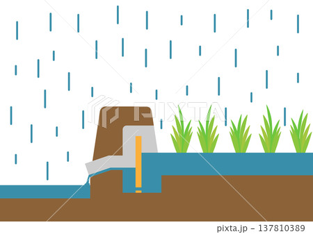 豪雨の雨水を田んぼダムによって流出抑制を行っているイメージイラスト 137810389
