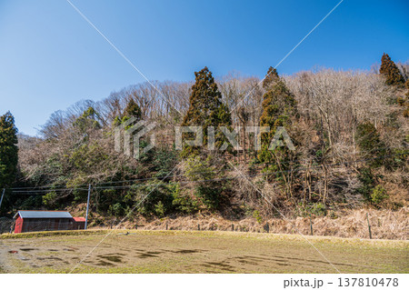 奥琵琶湖の里山風景 滋賀県長浜市西浅井町 奥琵琶湖の里山風景 滋賀県長浜市西浅井町 137810478