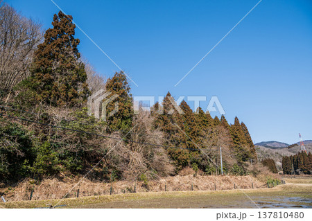 奥琵琶湖の里山風景 滋賀県長浜市西浅井町 奥琵琶湖の里山風景 滋賀県長浜市西浅井町 137810480