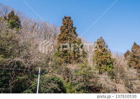 奥琵琶湖の里山風景 滋賀県長浜市近江塩津 奥琵琶湖の里山風景 滋賀県長浜市近江塩津 137810530