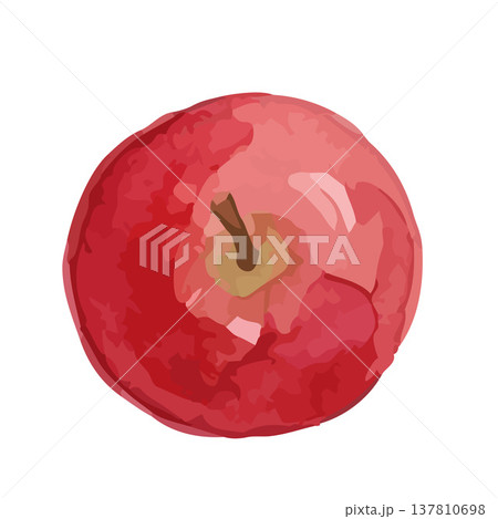 水彩風のりんご・青リンゴイラスト 137810698