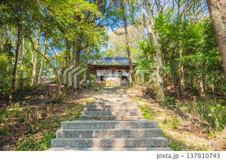 「岡山県」（3月）【観光地】牛窓神社　瀬戸内海から続く参道を歩く　樹林帯の中にひっそりと佇む神社 137810743