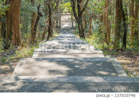 「岡山県」(3月)【観光地】牛窓神社 瀬戸内海から続く参道を歩く 樹林帯の中にひっそりと佇む神社 「岡山県」(3月)【観光地】牛窓神社 瀬戸内海から続く参道を歩く 樹林帯の中にひっそりと佇む神社 137810746
