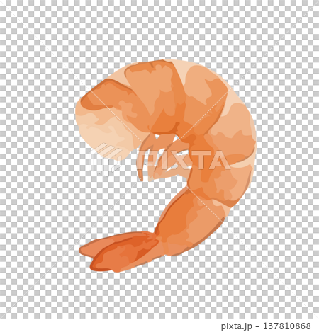 水彩風の海老のイラスト 137810868