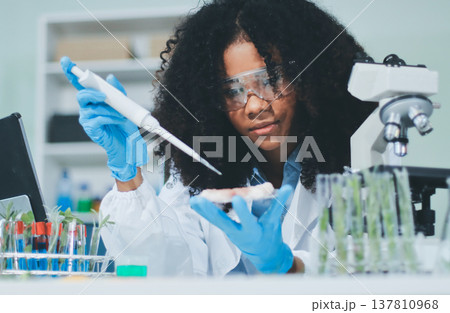 Chemical Laboratory of the Food supply . Food in laboratory, dna modify .GMO Genetically modified food in lab . Chemical Laboratory of the Food supply . Food in laboratory, dna modify .GMO Genetically modified food in lab . 137810968