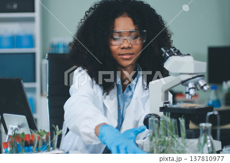 Chemical Laboratory of the Food supply . Food in laboratory, dna modify .GMO Genetically modified food in lab . Chemical Laboratory of the Food supply . Food in laboratory, dna modify .GMO Genetically modified food in lab . 137810977