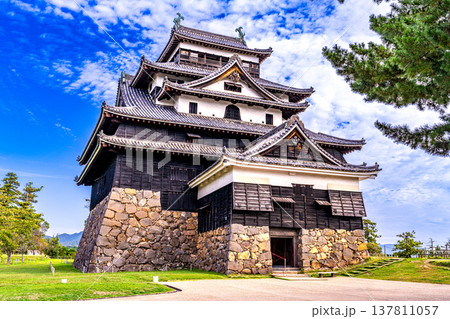 【日本100名城】松江城の秋の風景　本丸から見た国宝天守16　島根県松江市 137811057
