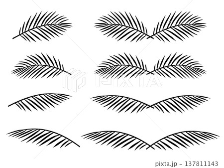 Palm leaves branches tropical border dividers set Palm leaves branches tropical border dividers set 137811143