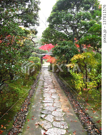 紅葉の有楽苑の庭園と石畳の道 137811576