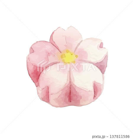 水彩風の和菓子(練り切り)のイラスト 水彩風の和菓子(練り切り)のイラスト 137811586