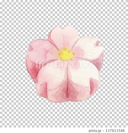 水彩風の和菓子(練り切り)のイラスト 水彩風の和菓子(練り切り)のイラスト 137811586