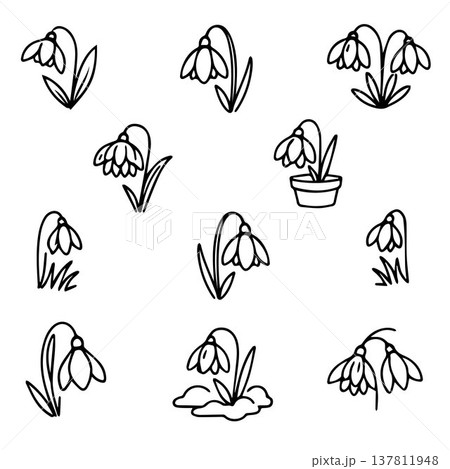 Snowdrop Doodles, Hand drawn Line Art Set for Designs. Snowdrop Sketches,Minimal Floral Outlines. Botanical Doodle 137811948