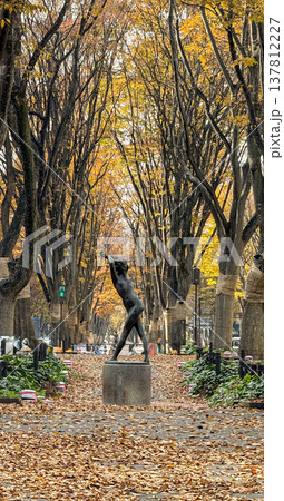 秋の定禅寺通り ケヤキ並木と紅葉が美しい仙台のシンボルロード 137812227