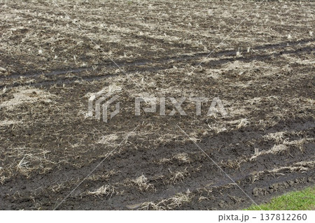 田んぼ 土作り 137812260