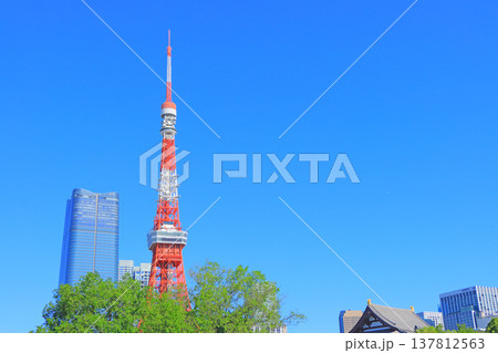 東京都港区、東京タワーと新緑の風景 137812563