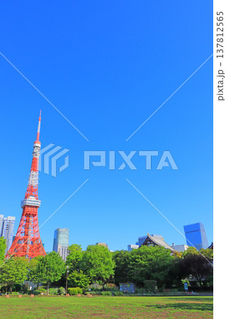 東京都港区、東京タワーと新緑の風景 東京都港区、東京タワーと新緑の風景 137812565