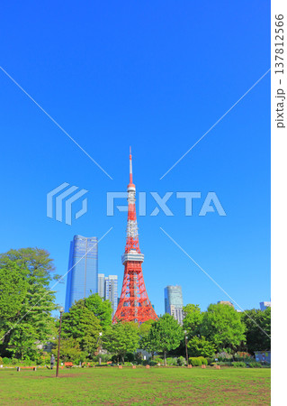 東京都港区、東京タワーと新緑の風景 東京都港区、東京タワーと新緑の風景 137812566