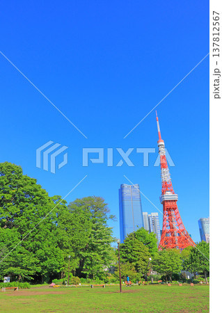 東京都港区、東京タワーと新緑の風景 東京都港区、東京タワーと新緑の風景 137812567