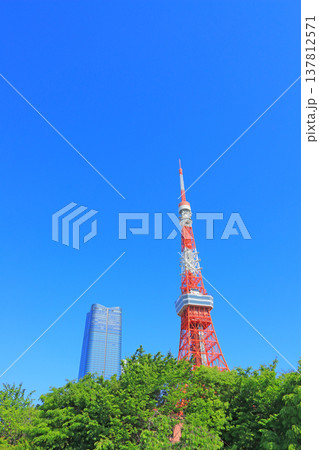 東京都港区、東京タワーと新緑の風景 137812571