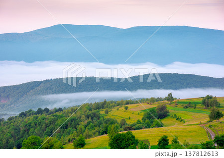 mountainous rural area of transcarpathia during springtime. remote mountain landscape with forested rolling hills. foggy morning in wonderful place of alpine countryside wallpaper mountainous rural area of transcarpathia during springtime. remote mountain landscape with forested rolling hills. foggy morning in wonderful place of alpine countryside wallpaper 137812613