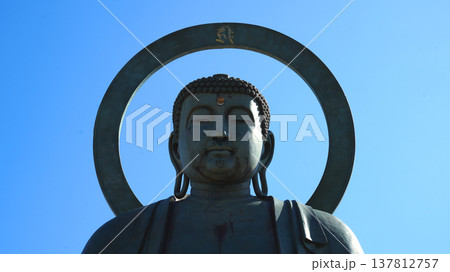高岡大仏 高岡大仏 137812757