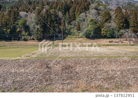 奥琵琶湖西浅井町の田園風景　滋賀県長浜市 137812951