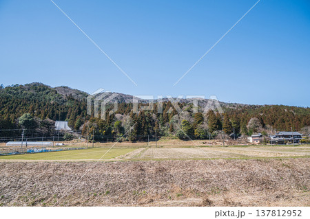 奥琵琶湖西浅井町の田園風景 滋賀県長浜市 奥琵琶湖西浅井町の田園風景 滋賀県長浜市 137812952