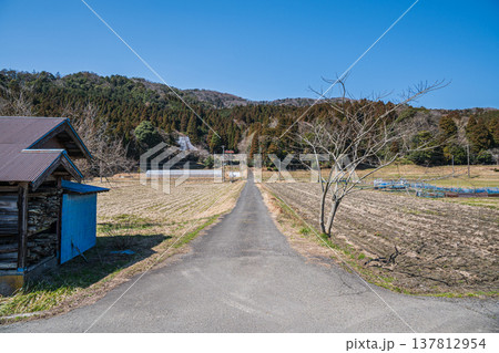 奥琵琶湖西浅井町の田園風景　滋賀県長浜市 137812954