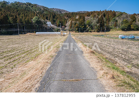 奥琵琶湖西浅井町の田園風景　滋賀県長浜市 137812955