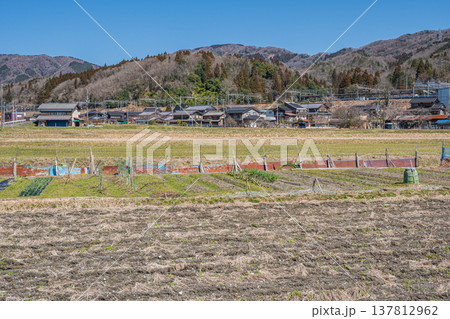 奥琵琶湖西浅井町の田園風景 滋賀県長浜市 奥琵琶湖西浅井町の田園風景 滋賀県長浜市 137812962