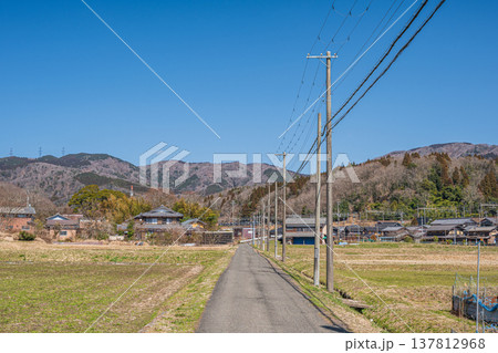 奥琵琶湖西浅井町の田園風景 滋賀県長浜市 奥琵琶湖西浅井町の田園風景 滋賀県長浜市 137812968