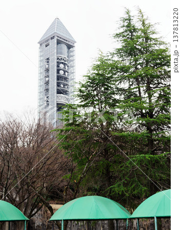 東山植物園風景 東山スカイタワー 東山植物園風景 東山スカイタワー 137813220